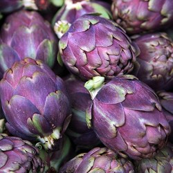 artichoke Voiletta di Ghioggia